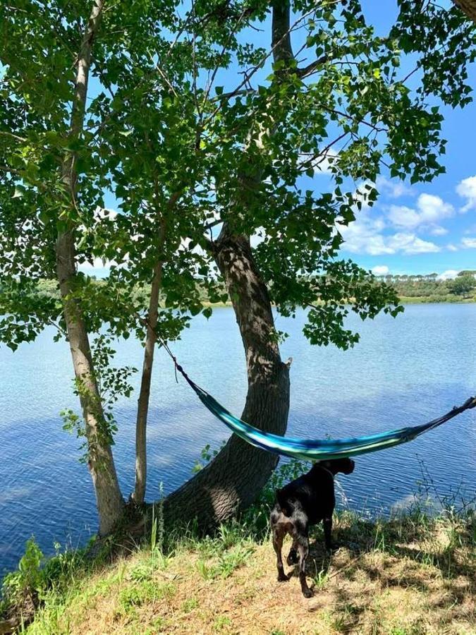 Lake House I Pioppi Nepi Экстерьер фото